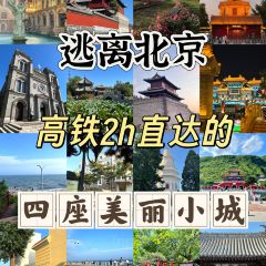 海星辰海鲜大排档(黄金海岸店) User Photo