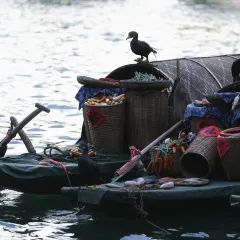 翠翠油茶坊(灵川店) User Photo