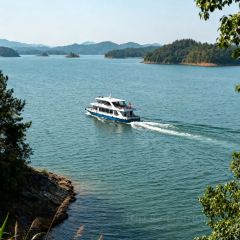 老媽生態餐廳張用戶圖片