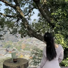 猪圈咖啡屋 User Photo