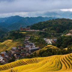 XIAO XI FU YOU CHA User Photo