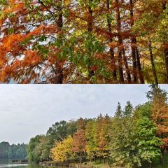 铁锅年代(天台店) 여행 사진