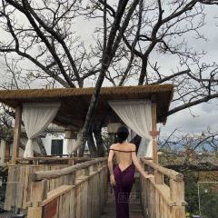 巋然·觀雪山雲海丨曠野星空 度假飯店（白沙古鎮店）·巋然雪山花園咖啡張用戶圖片