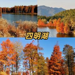 一番小叙(胜山西路店) User Photo