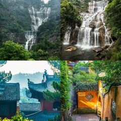 王天顺海苔饼 User Photo