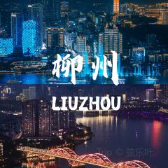 柳州五星步行街怡程酒店·金惠大酒楼(连塘店) User Photo