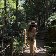 椿野咖啡馆(和顺店) User Photo