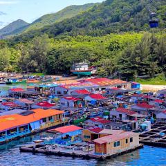 dan jia yu pai User Photo