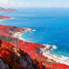 FRESH UNDER THE SEA 여행 사진