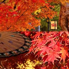 SHUDAXIA HOT POT User Photo