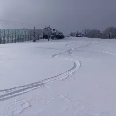 RABBIT HOLE User Photo