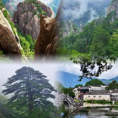 DE YUE LOU User Photo