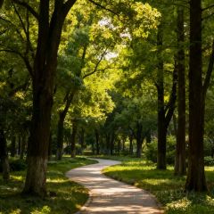 WAN XI REN GU TU CAI GUAN User Photo