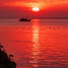 SEE MOUNTAIN LU TALK User Photo