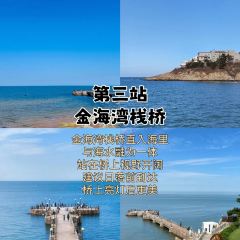 FRESH UNDER THE SEA User Photo