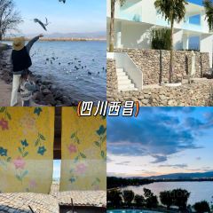 dan jia yu pai User Photo