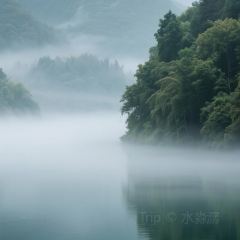 资兴桔园农家民宿 User Photo