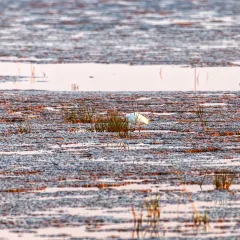 竹林大饭店 User Photo