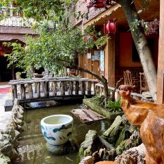 九重葛 여행 사진