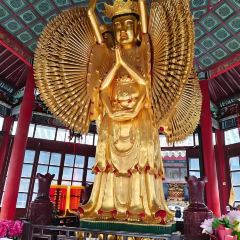 邢家锅贴老店·非遗·开封菜(金明广场店) User Photo