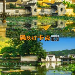 灵山酒酿 User Photo