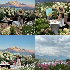 屋顶咖啡·日落甜茶·雪山花园 ·bistro 여행 사진