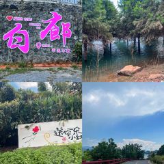 阿姣螺蛳粉 User Photo