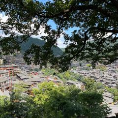 猪圈咖啡屋 User Photo