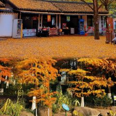 诸暨正宗次坞打面(人民西路店) User Photo