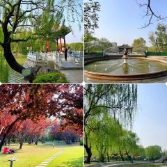 白家缸炉烧饼 User Photo