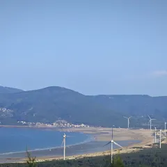 MAO JI HAI XIAN SHA GUO ZHOU User Photo