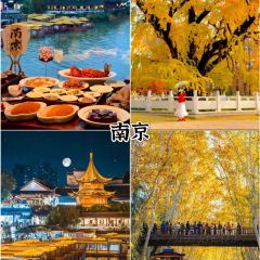 老媽生態餐廳張用戶圖片