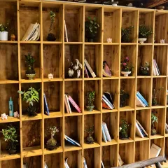 猪圈咖啡屋 User Photo