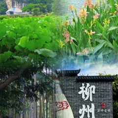 LUJIECHAOBING User Photo
