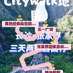 Tang you ba ba User Photo