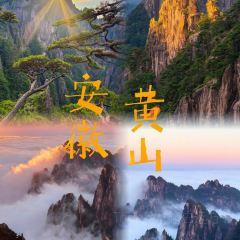 灵山酒酿 User Photo