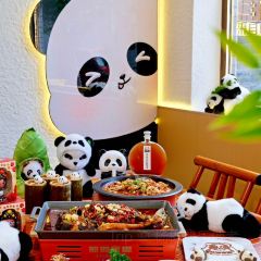 Panda Family User Photo