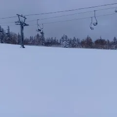 RABBIT HOLE User Photo