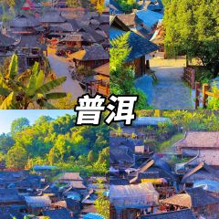 dan jia yu pai User Photo