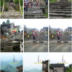 天桥底鸡煲 User Photo