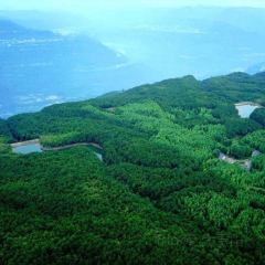 XIANG WEI CUN GU CHANG CAI User Photo