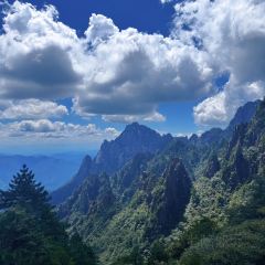 灵山酒酿 User Photo