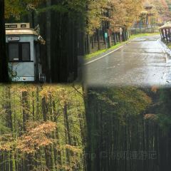 Haiguanhundouhua User Photo