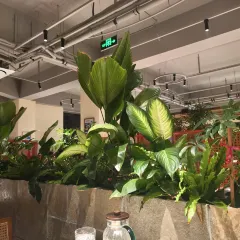 BZK·SEAFOOD User Photo