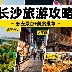 BEN LUO BO CAN YIN User Photo