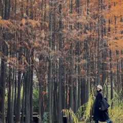 胡記包子張用戶圖片
