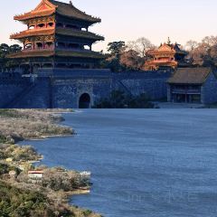 彩塔炒焖子(彩塔夜市店) User Photo