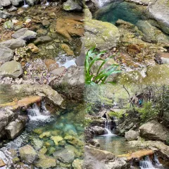 天桥底鸡煲 여행 사진
