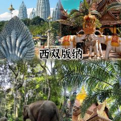 MANFEILONG User Photo