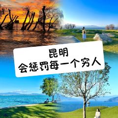 AI SHANG JUN User Photo